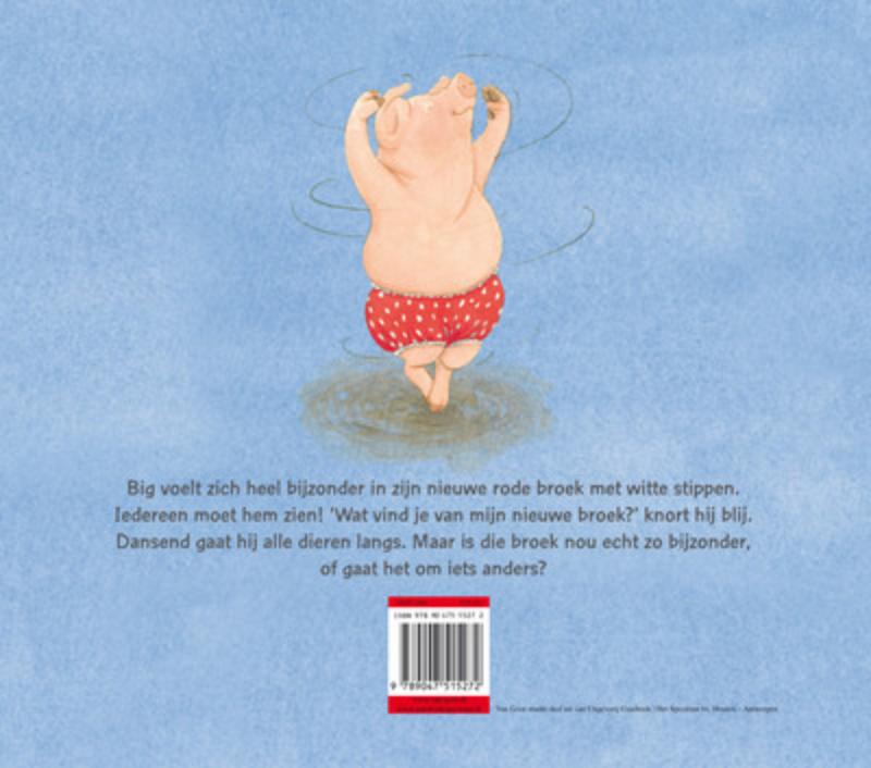 Broek Van Big achterkant