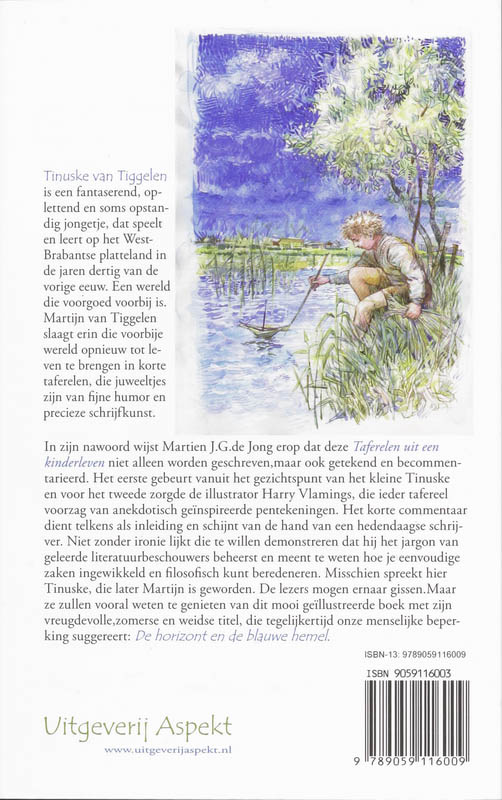 De Horizont En De Blauwe Hemel achterkant