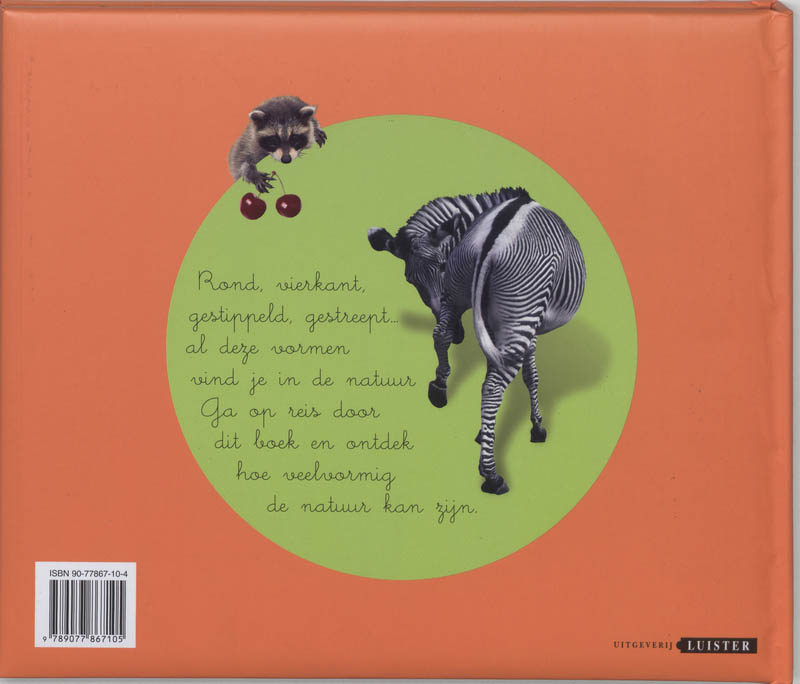 Vormen in de natuur achterkant