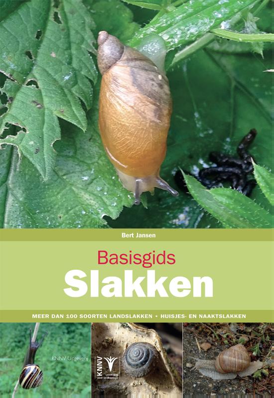 Slakken / Basisgids