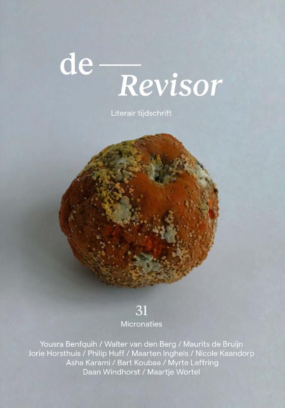 Revisor 31
