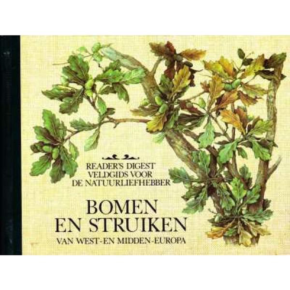 Bomen Struiken Veldgids Natuurliefhebber