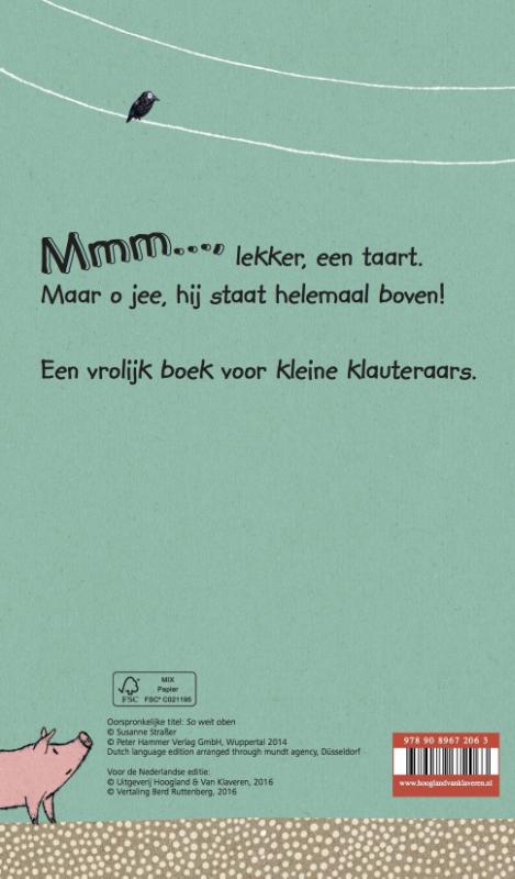 Mmm... een taart! achterkant