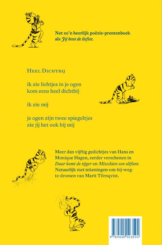 Lichtjes in je ogen achterkant