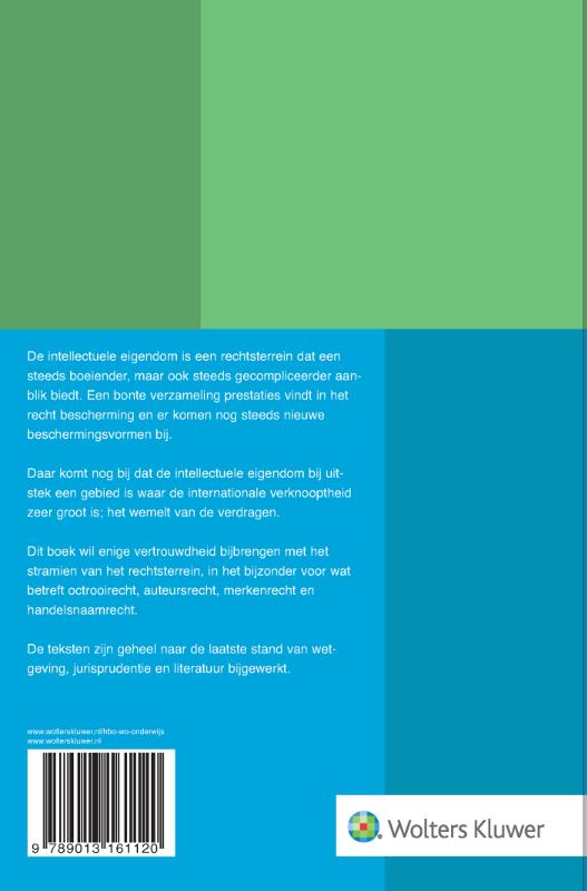 Bescherming van de intellectuele eigendom achterkant