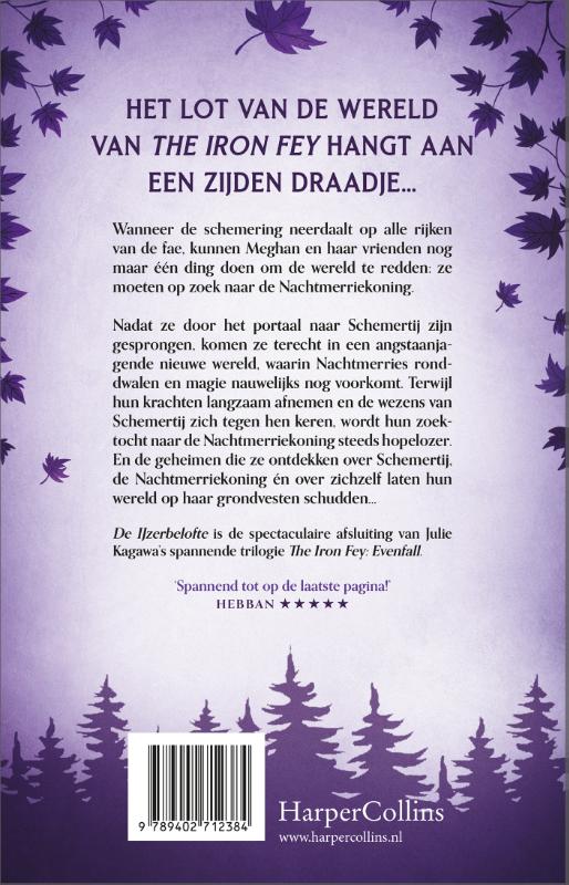 De IJzerbelofte / The Iron Fey / 3 achterkant