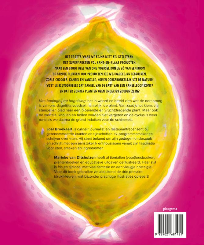 Van honingbij tot hagelslag achterkant