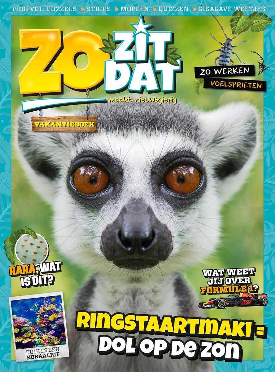 Zo zit dat Vakantieboek 2019