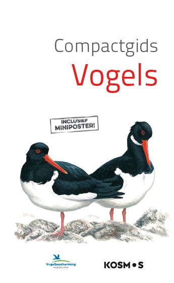 Vogels / Compactgids
