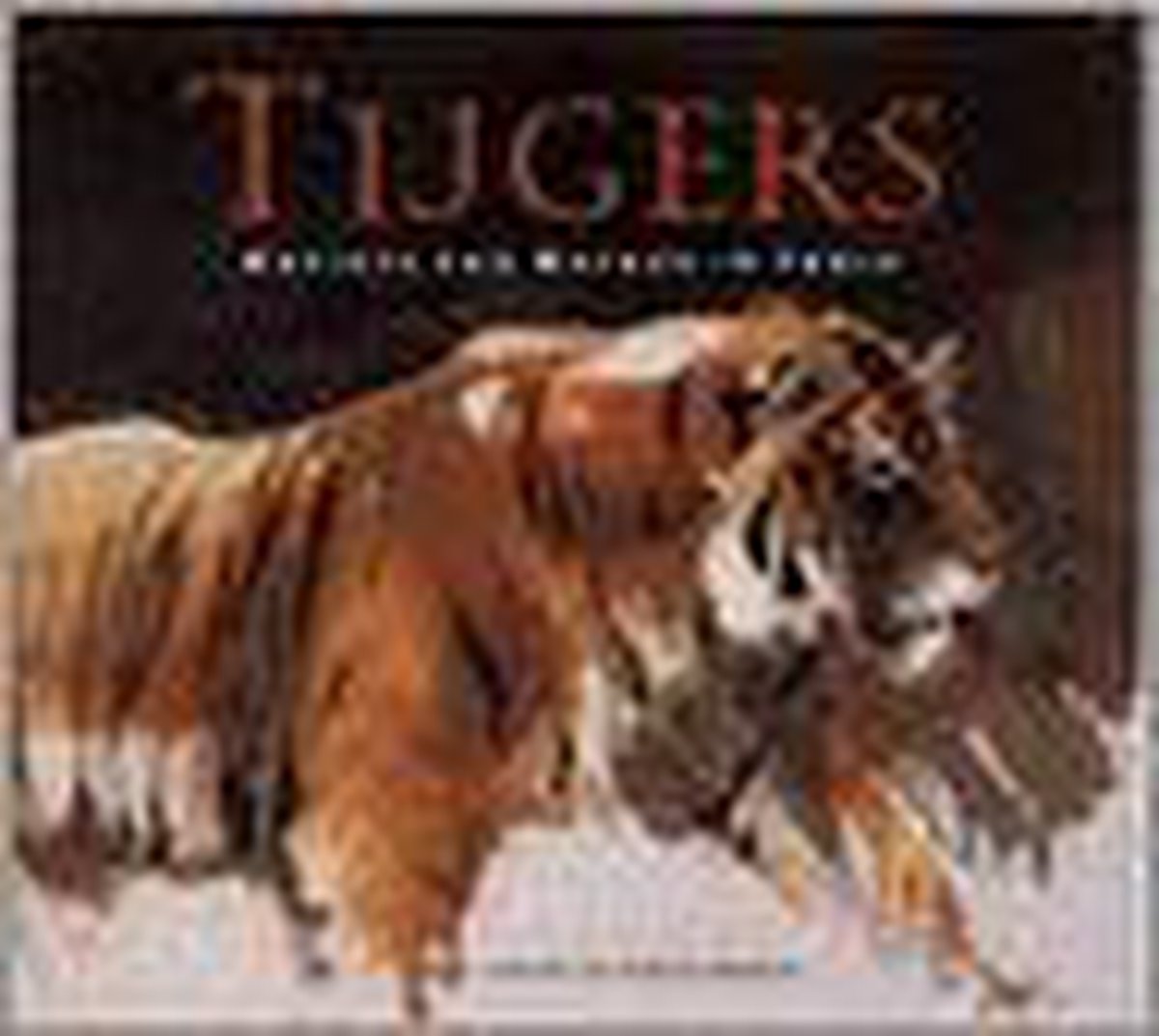 Tijgers artists for nature in india