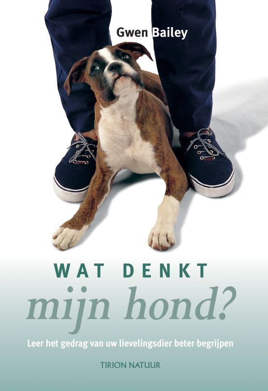 Wat Denkt Mijn Hond