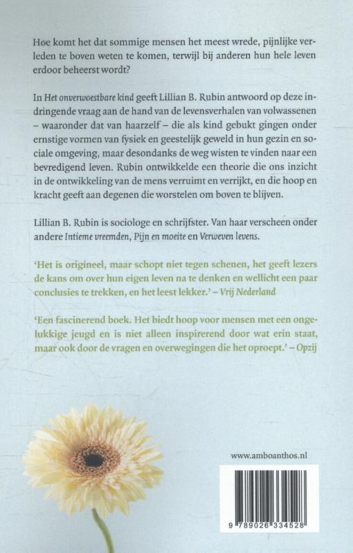 Het onverwoestbare kind achterkant