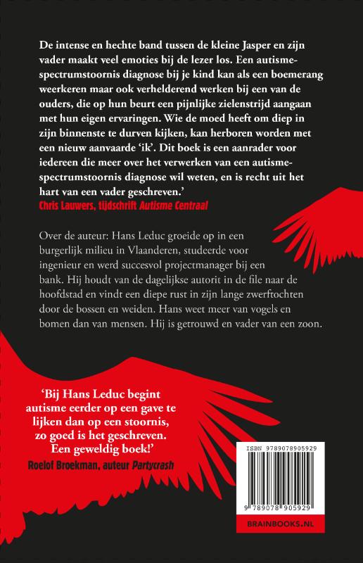 De structuur van asfalt achterkant