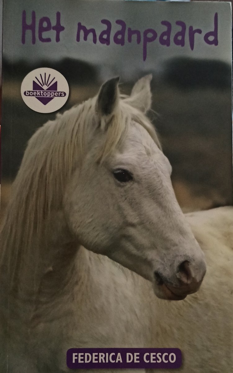 Het maanpaard / bao groep 7/8 / Boektoppers 2008