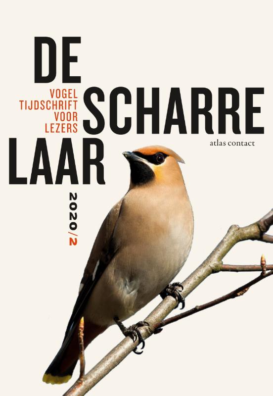 De scharrelaar / 2020/2 / De Scharrelaar / 4