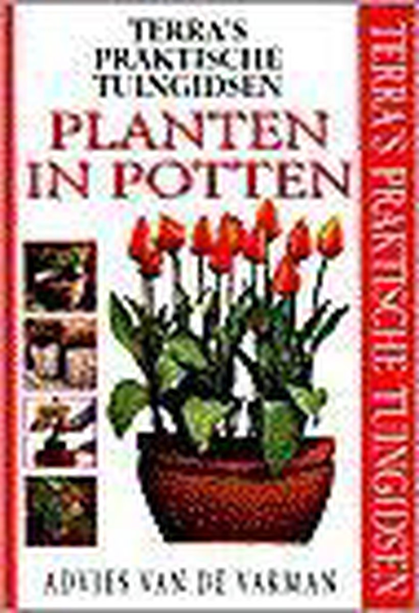 Planten in potten / Terra's praktische tuingidsen