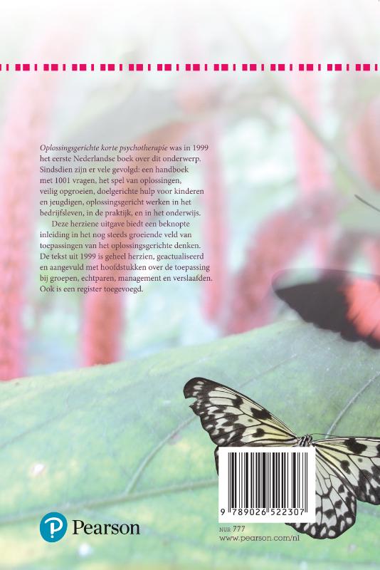 Oplossingsgerichte korte psychotherapie achterkant