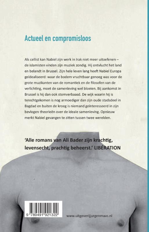 De wolkenmuzikant achterkant