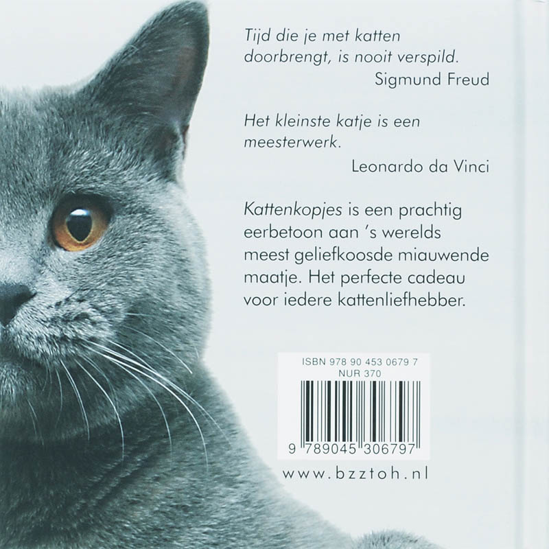Kattenkopjes achterkant
