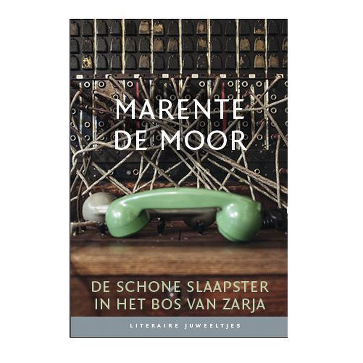De schone slaapster in het bos van Zarja / Literaire Juweeltjes