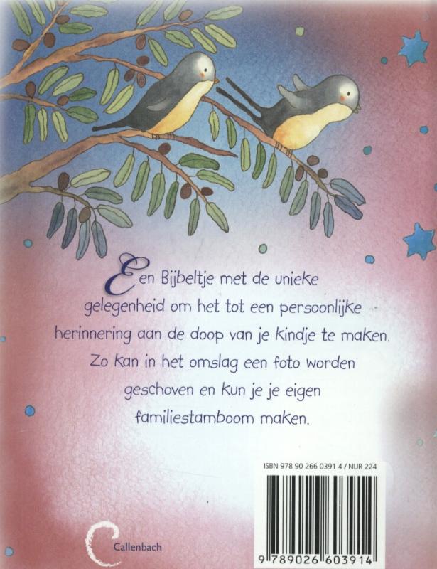 Je eigen doopbijbel achterkant