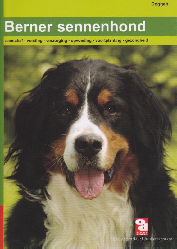 De Berner Sennenhond / Over Dieren