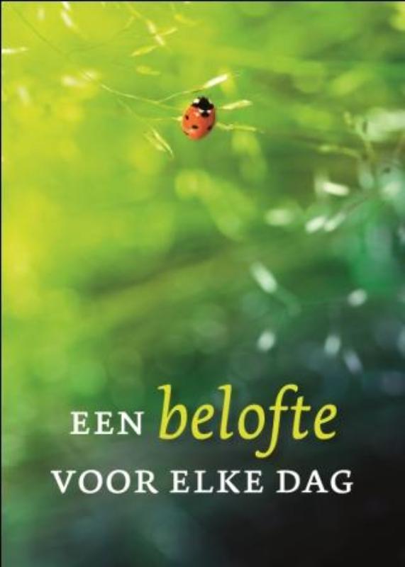 Een belofte voor elke dag