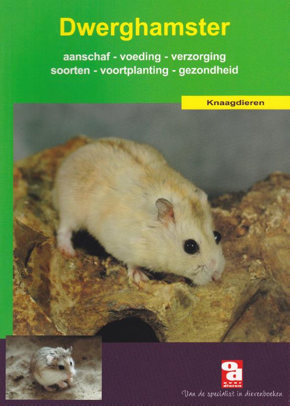 De dwerghamster / Over Dieren