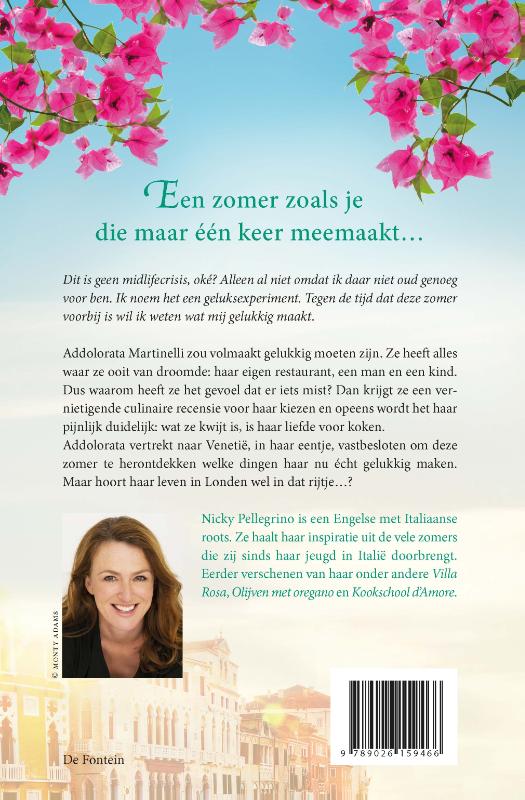 Een zomer in Venetië achterkant