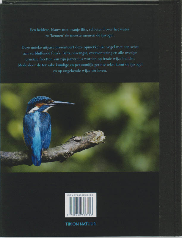 Ijsvogels achterkant