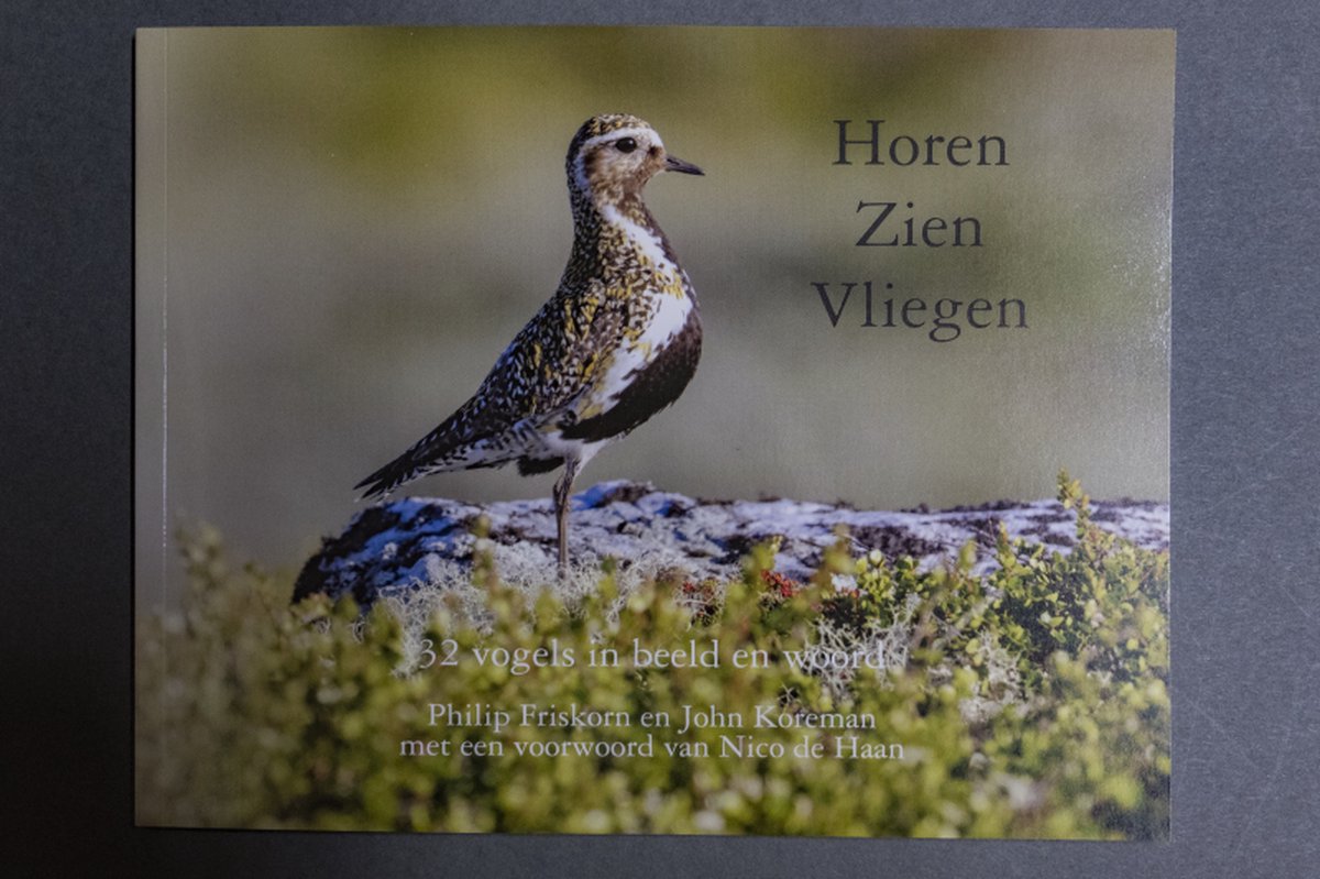 Horen Zien Vliegen / Pica Publications / 04