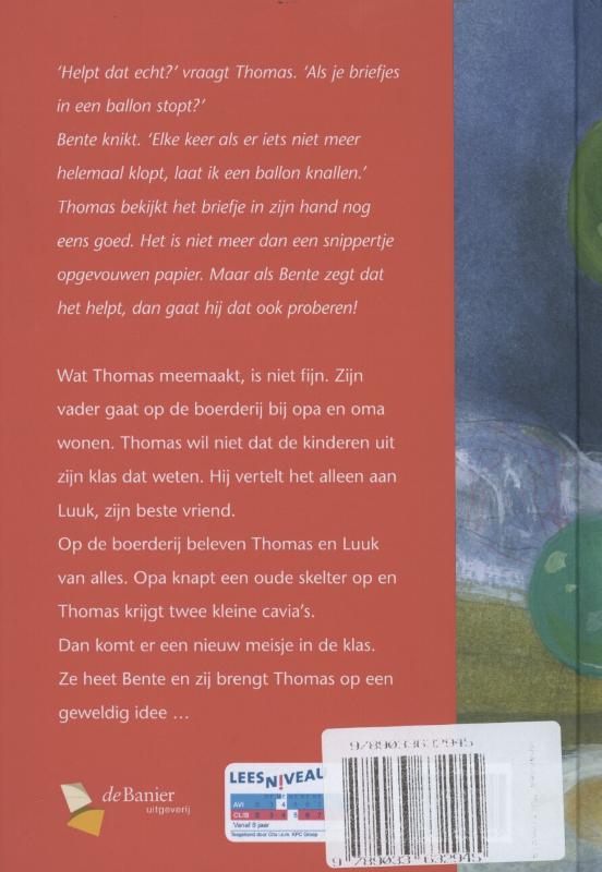 Gekleurde ballonnen achterkant