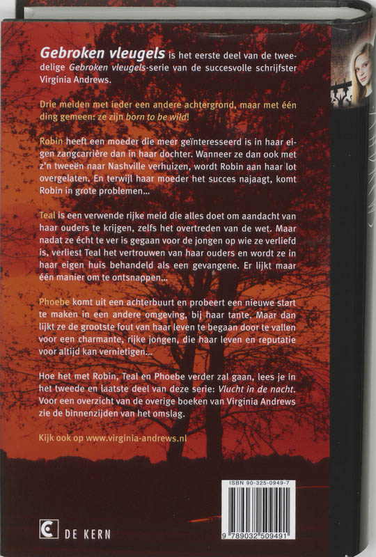 Gebroken vleugels / Gebroken vleugels / 1 achterkant