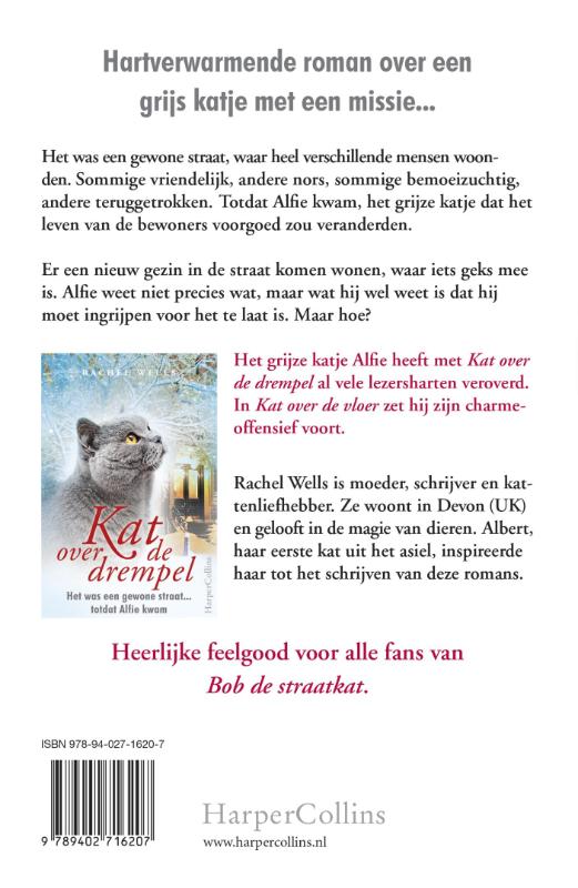 Kat over de vloer achterkant