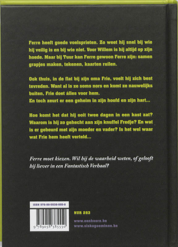 Het fantastische verhaal van Ferre en Frie achterkant