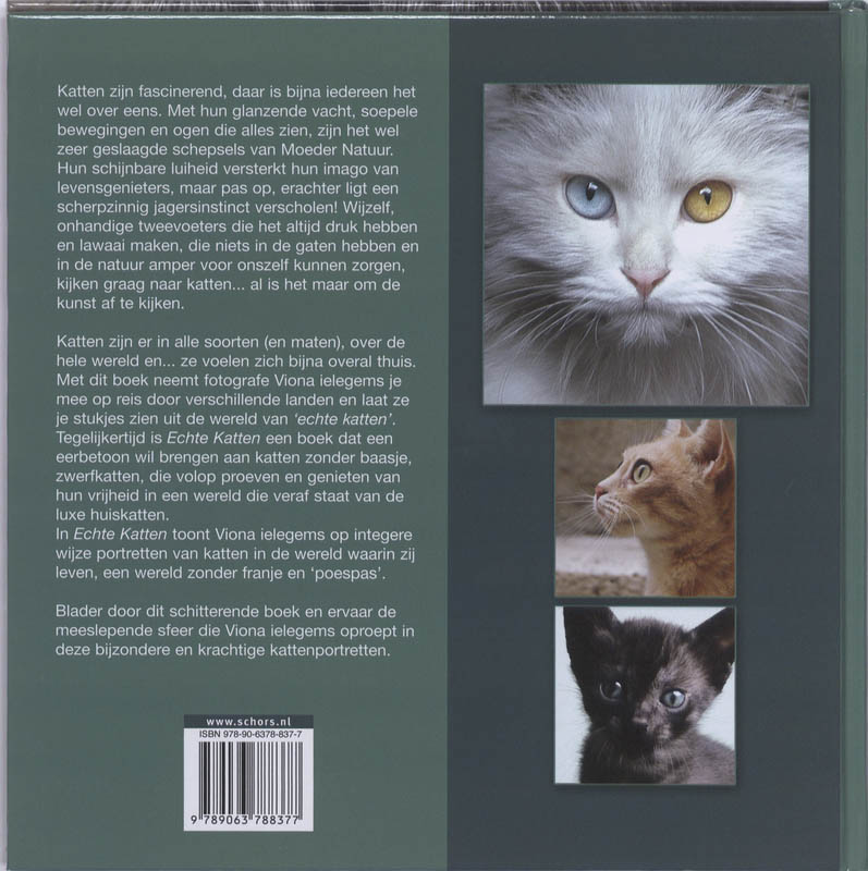 Echte Katten achterkant