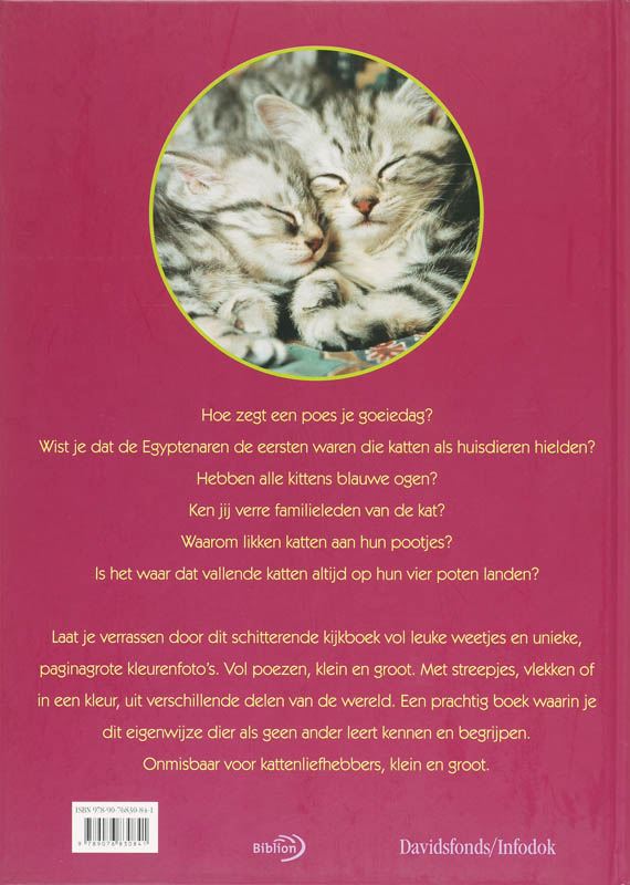 Het Grote Kijkboek / Katten achterkant