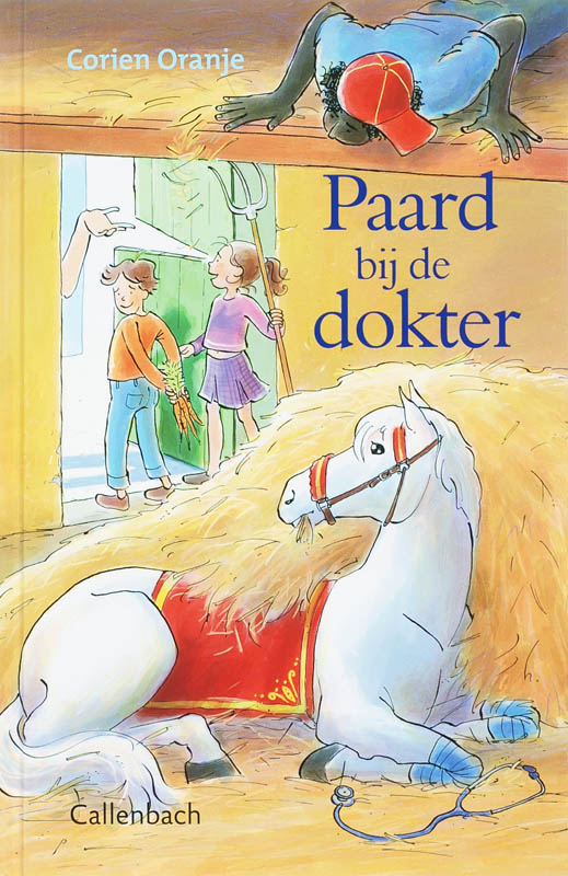 Paard bij de dokter
