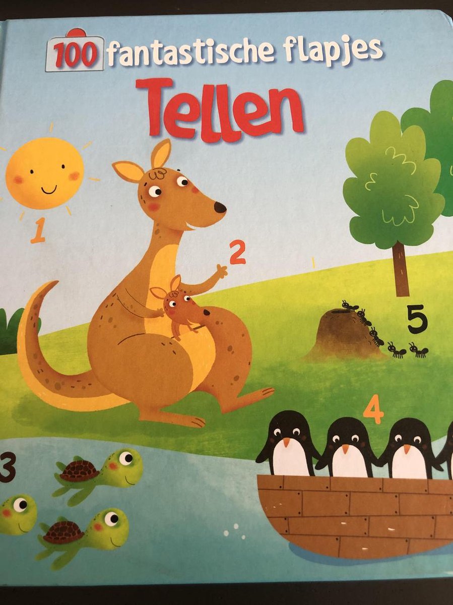 Tellen / 100 fantastische flapjes