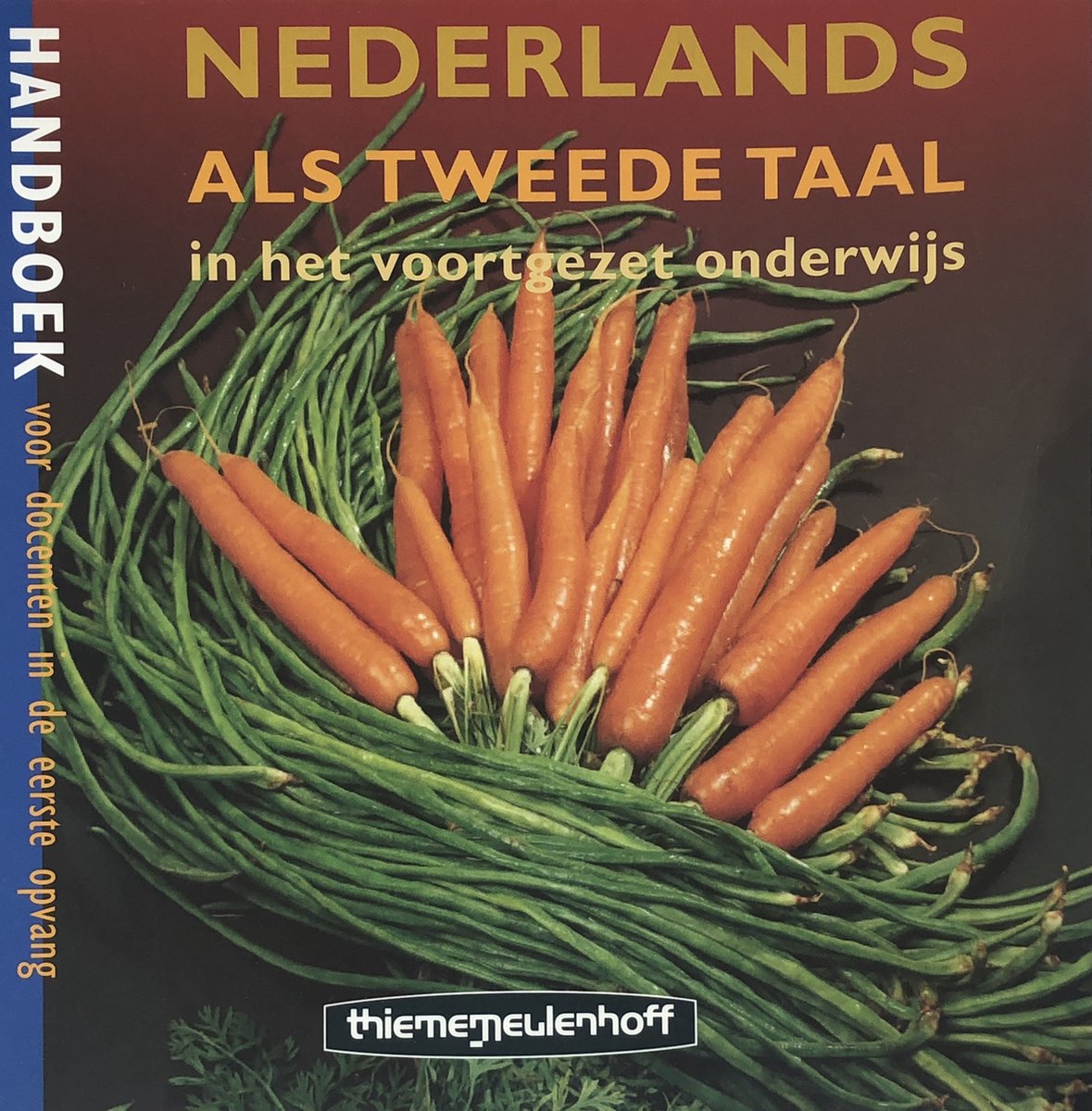 Nederlands als tweede taal in het voortgezet onderwijs