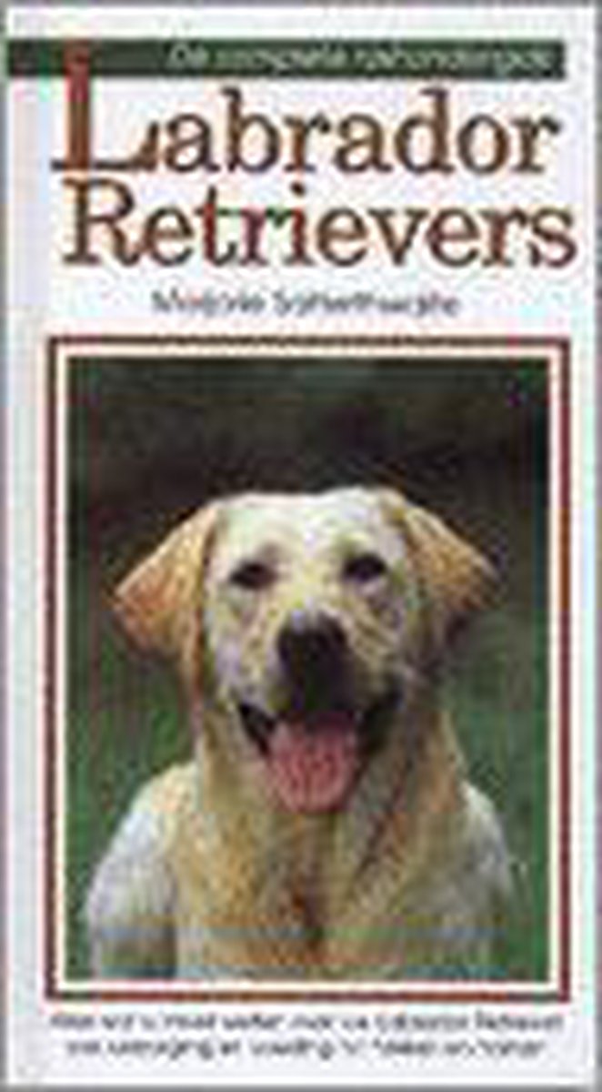 Labrador retrievers