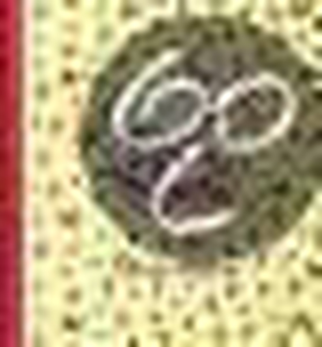 Winnie The Poeh Fotoalbum