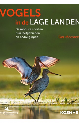 Vogels in de lage landen