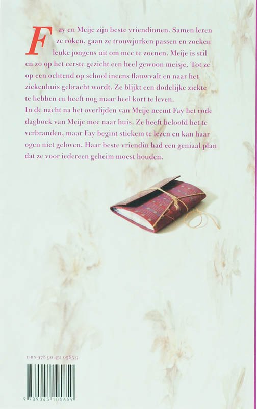 Mijn laatste dag als genie achterkant