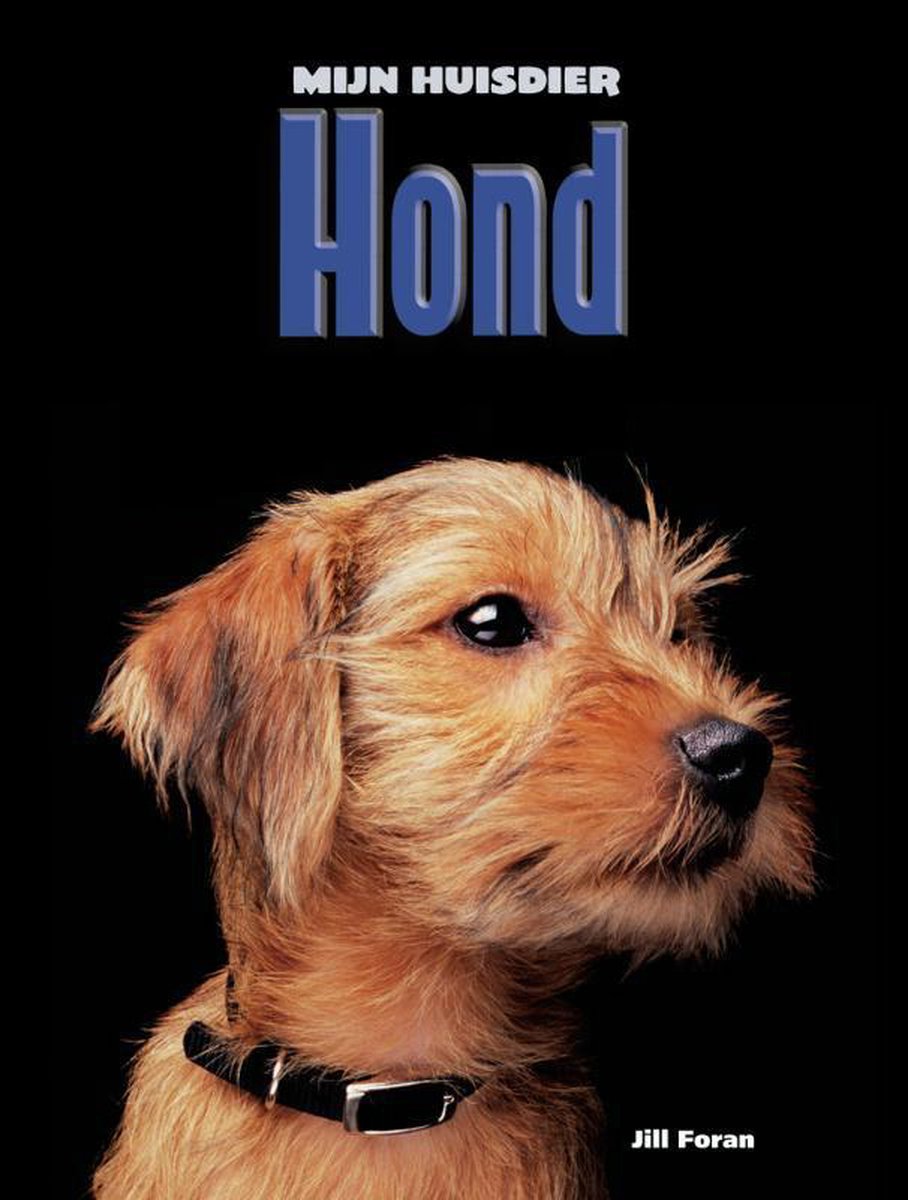 Hond / Mijn Huisdier
