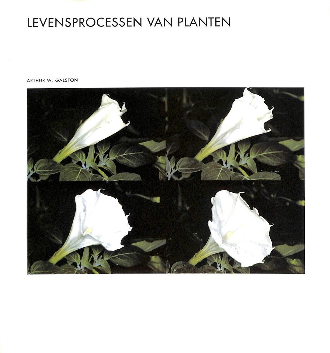 Levensprocessen van planten / Wetenschappelijke bibliotheek / 50