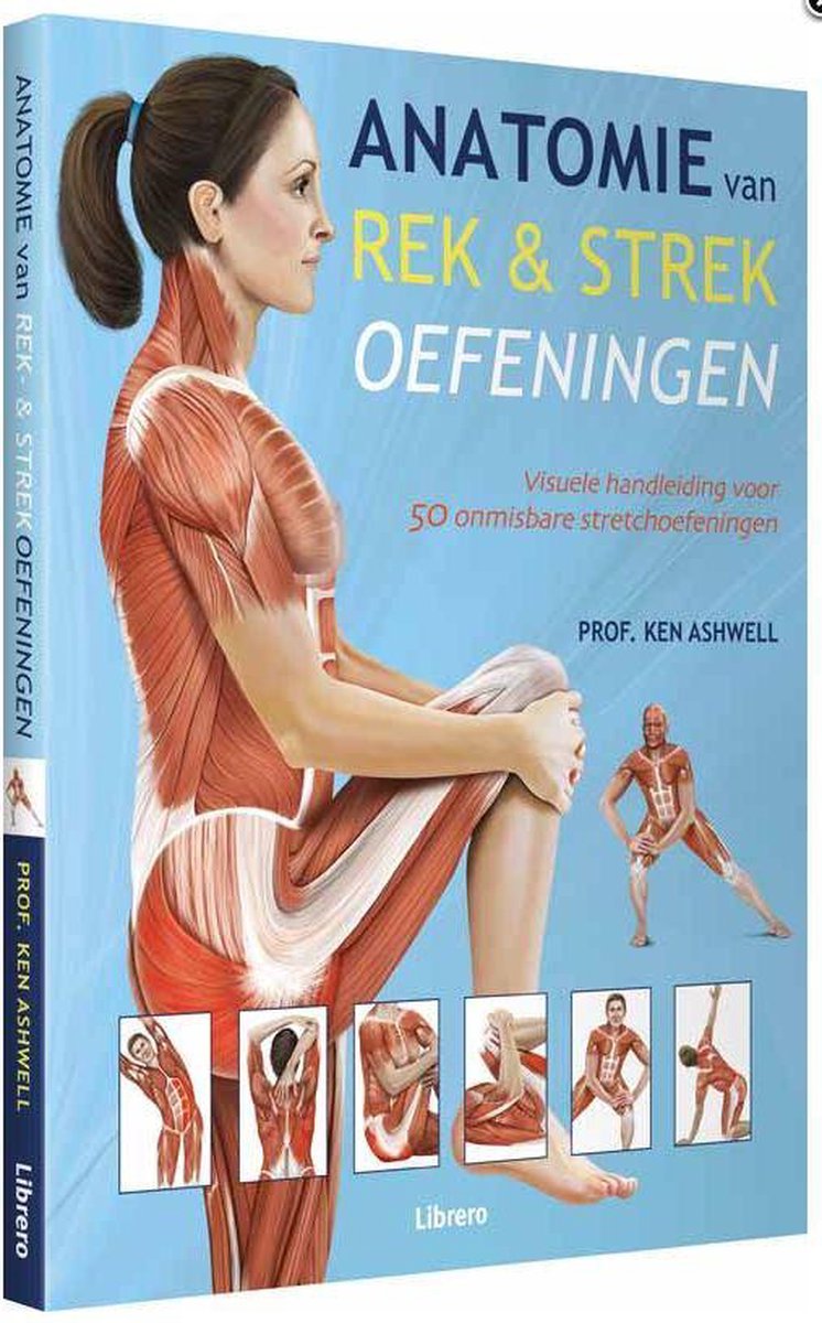Anatomie van Rek en Strekoefeningen