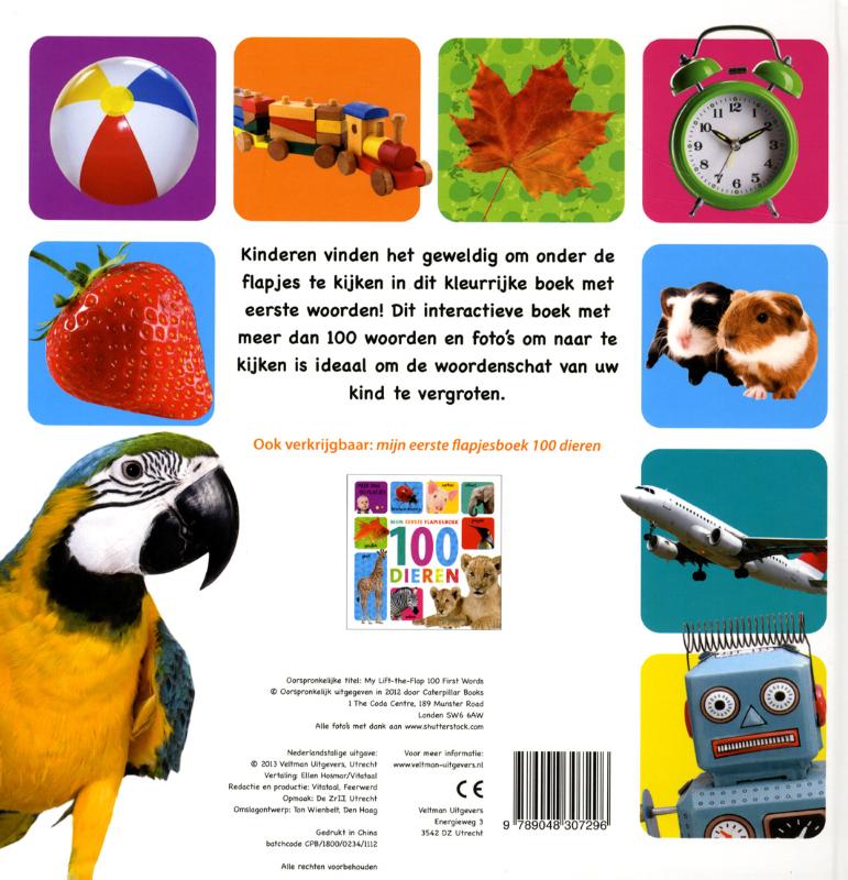 Mijn eerste flapjesboek 100 woorden achterkant