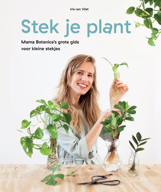 Stek je plant