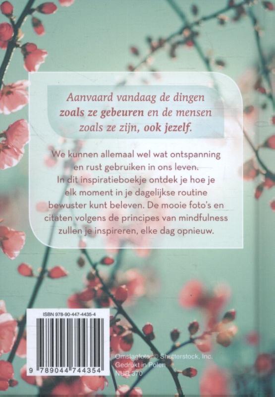 Mindful op elk moment achterkant